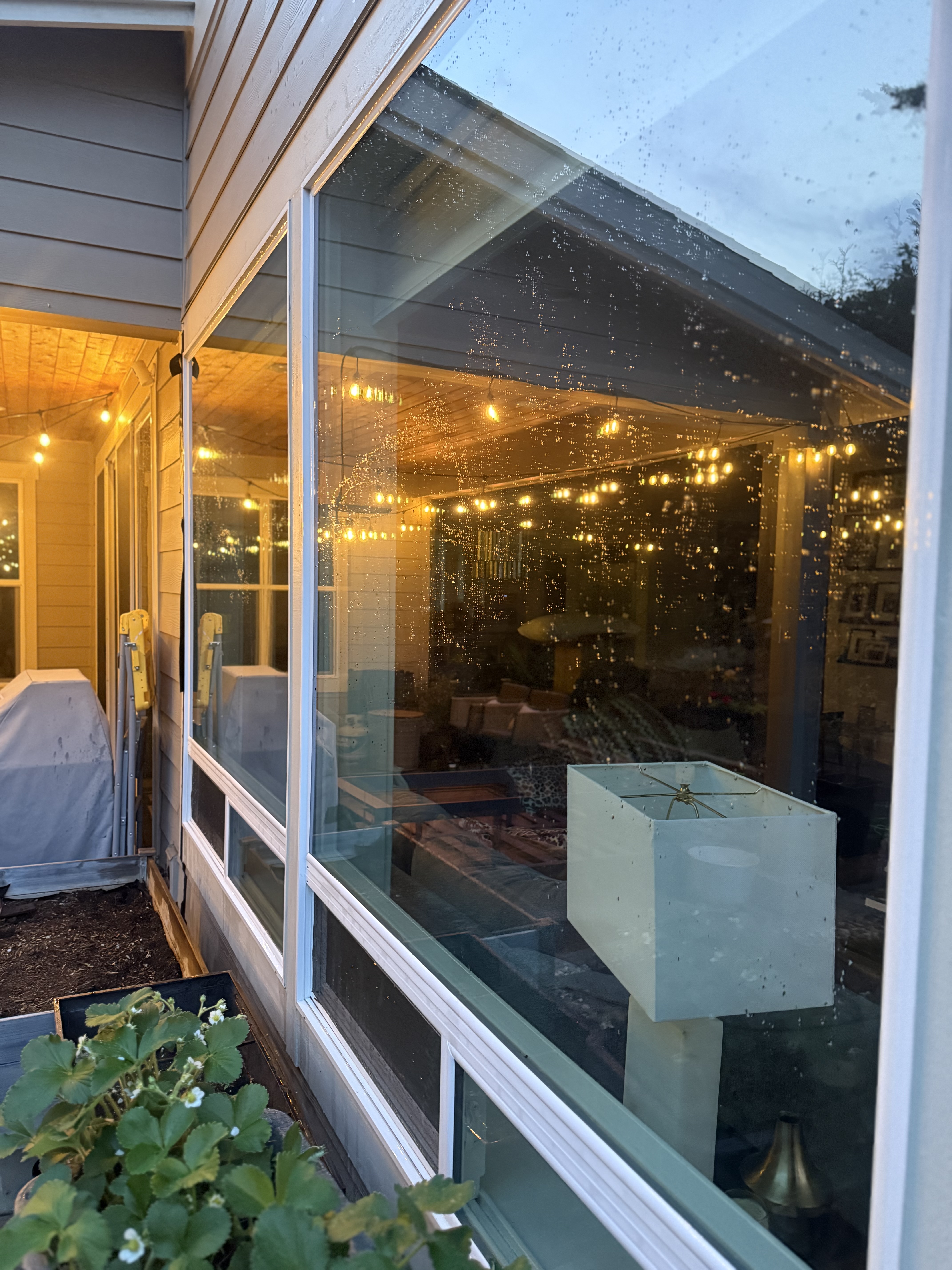 Crystal clear large-pane windows after professional window cleaning — Portland home with evening interior lights
