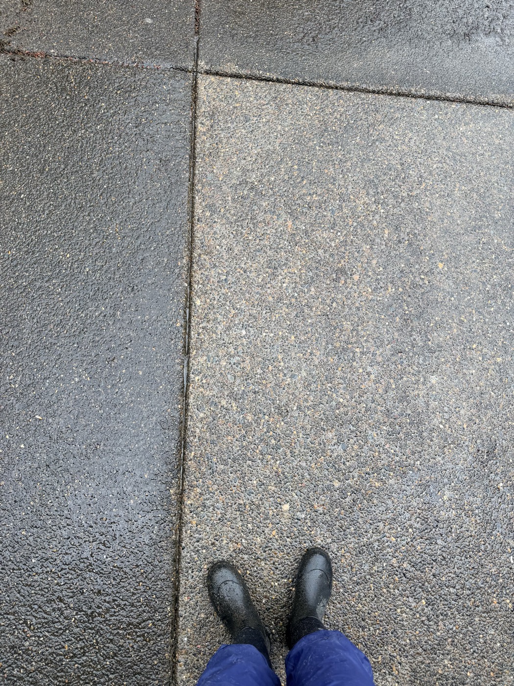 Before and after pressure washing — dramatic clean line on Portland concrete driveway